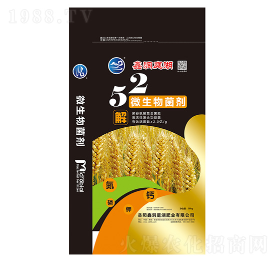 52΢�������-�ζ�ͥ���ʘI(y��)