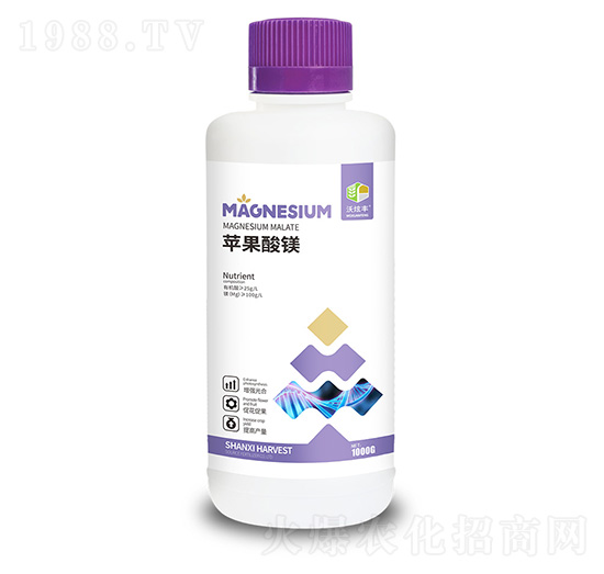 �O(p��ng)�����V-�����S-�ɿ����ʘI(y��)