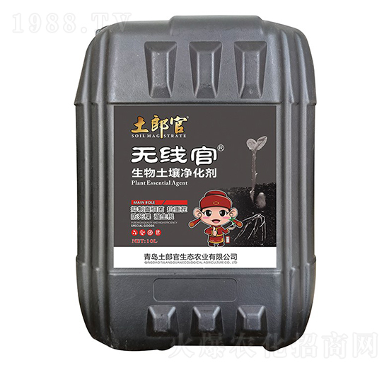 �o������������������-���ɹ�