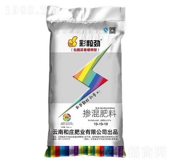 �������19-19-19-������-���f�ʘI(y��)