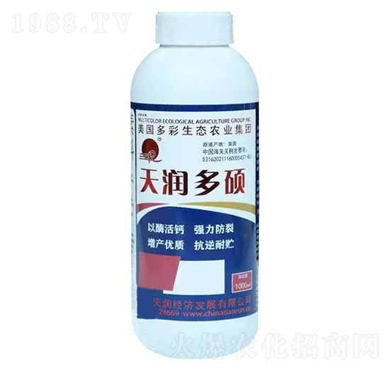 �읙��T�_ʩ��-�V�|�읙