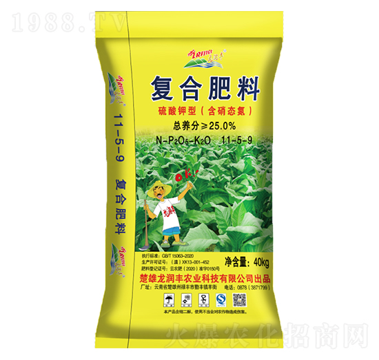 ������͏ͺϷ�11-5-9-�����S