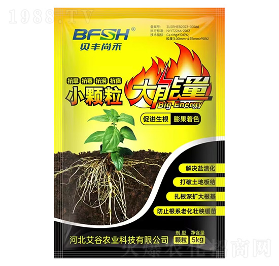 С�w��������-�����r(n��ng)�I(y��)