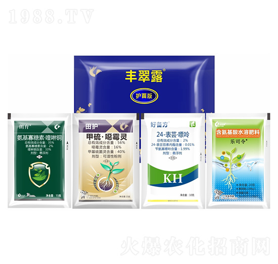 �S��¶���o(h��)��棩-����¡����