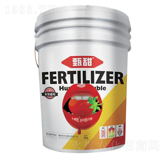 ����-�����ʘI(y��)