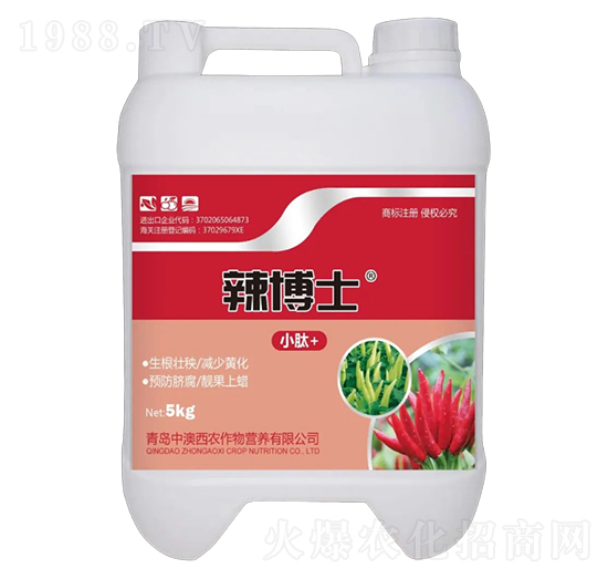 ����ʿ5KG-�а����r