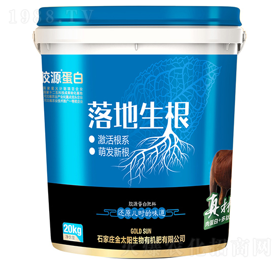 膠源蛋白肥料-落地生根-金太陽