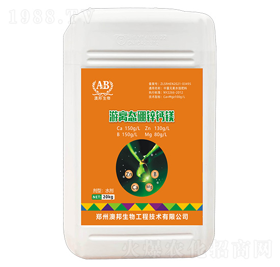 ���x�B(t��i)���\�}�V-�İ�����