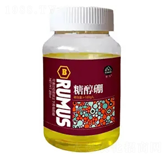 ���R�Ǵ���-�̶�����