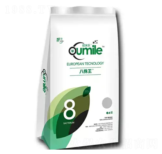 ������-�W�ט�-�̶�����