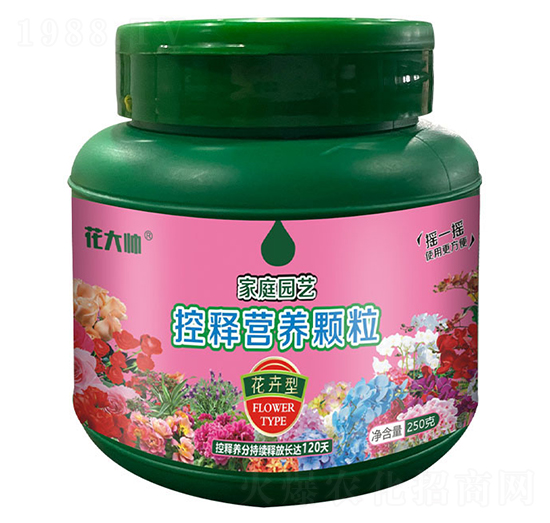 �����ͼ�ͥ�@ˇ��ጠI�B(y��ng)�w��-����-�G�ַʘI(y��)