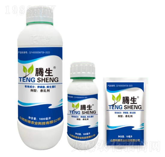 ����֬���S����E-�v��-�õ���