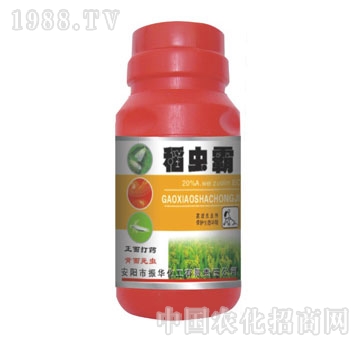 ���A����-���x(ch��ng)��