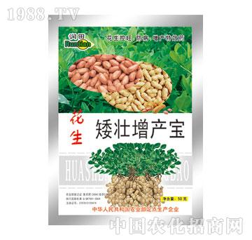 ��(r��n)��-�����������a(ch��n)��