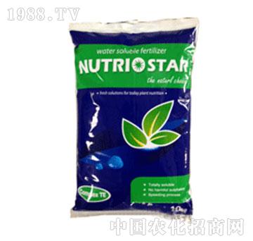 ���֐�ؐ˹��-�δ�20-10-20+TE