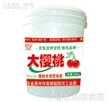 ����-�����