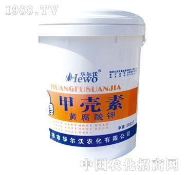 ����-�ך����S�����20kg