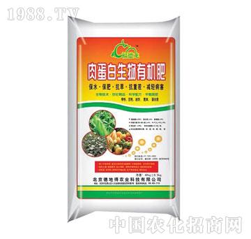 �µص�-�⵰�������ЙC(j��)��