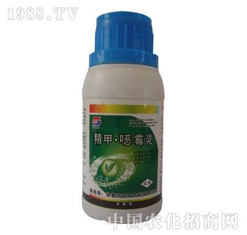 �L(zh��ng)�p-���א�ù�`