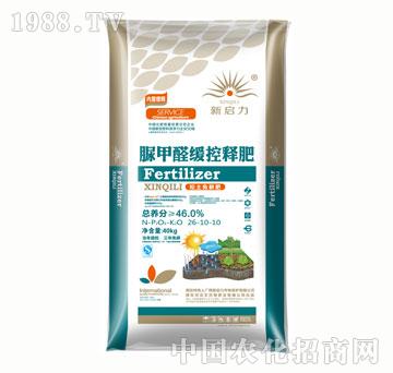 �������ȩ����ጷ�2