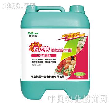 ֲ�Ｄ���؛_ʩ�ι���-