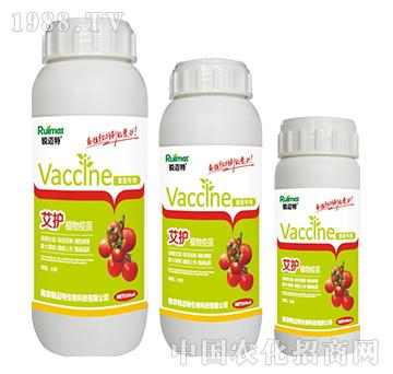 ���o(h��)ֲ�����緬�ь���-