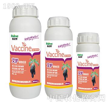 ���o(h��)ֲ���������ӌ���-