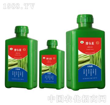 ���ǌ�(zhu��n)�ð���������Һ��