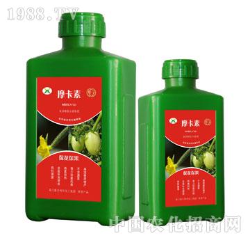 ������������������Һ��