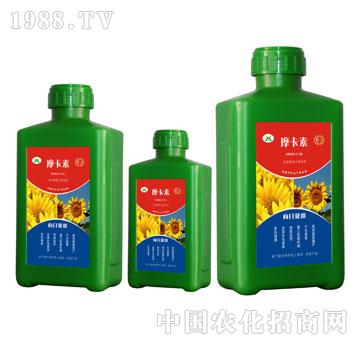 ���տ���(zhu��n)�ð���������Һ