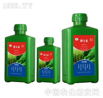 �۲ˌ�(zhu��n)�ð���������Һ��