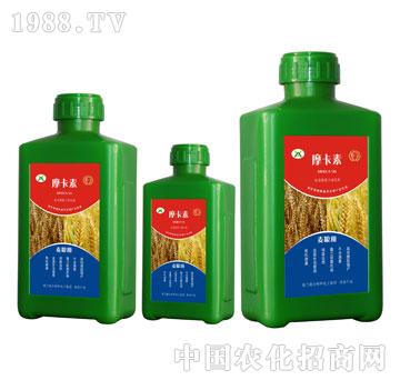 ���Z��(zhu��n)�ð���������Һ��