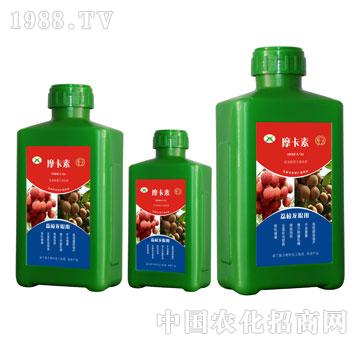 ��֦���ی�(zhu��n)�ð���������