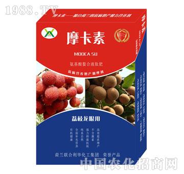 ��֦���ی�(zhu��n)�ð���������