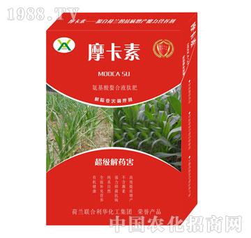 ����(j��)��ˎ������������Һ