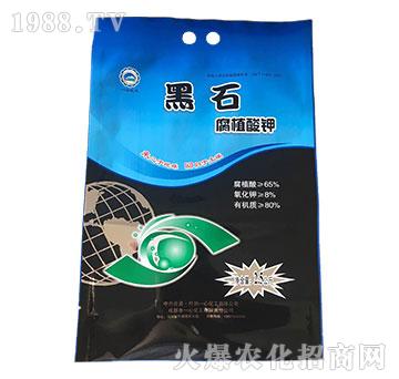 ��ֲ���-��ʯ-һ�Ļ�