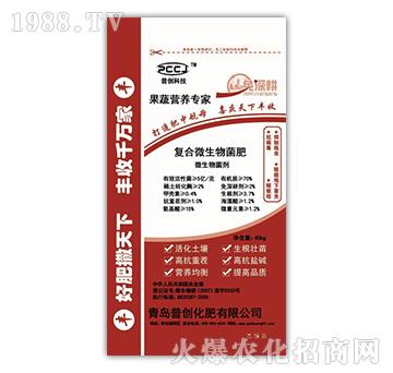 �ͺ�΢�������-�Մ�(chu��ng)