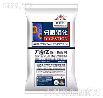 �ֽ�����-΢�������-