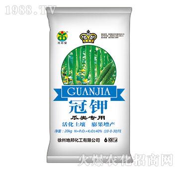 �����-���-�ذ�Ȫ