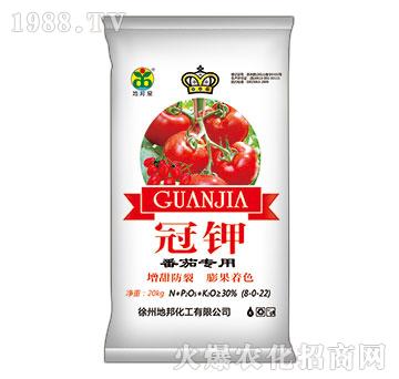 ���ь���-���-�ذ�Ȫ