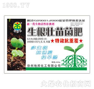 �����������-�ذ�Ȫ