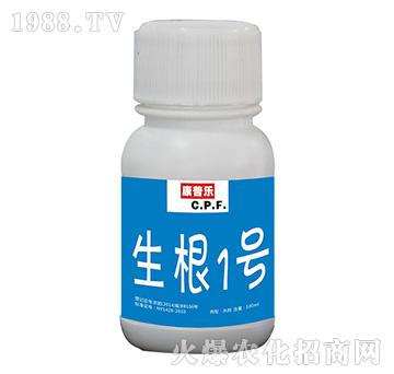 ����1̖-�r�_����