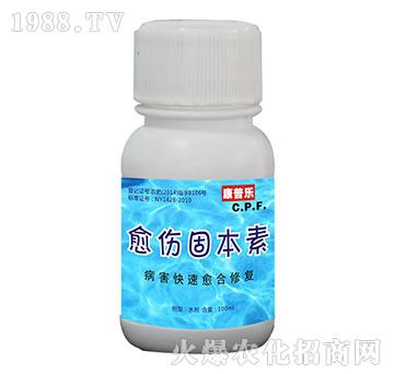 �����̱���-�r�_����