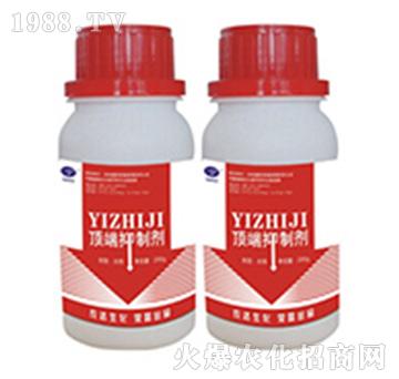 픶����Ƅ�-�r�_����