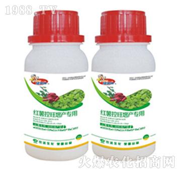 �t���������a����-�r�_