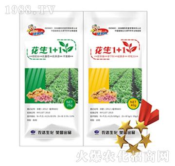 ����1+1-�r�_����