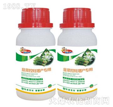 �²˿������a����-����