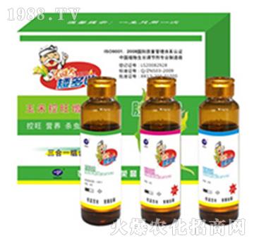 ����3��1-�r�_����