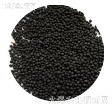 有機(jī)肥黑粒