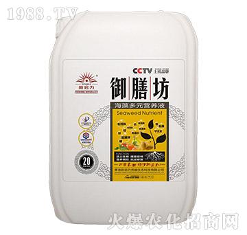 20kg�����Ԫ�I�B(y��ng)Һ